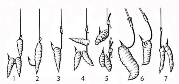 Как насадить опарыша на крючок